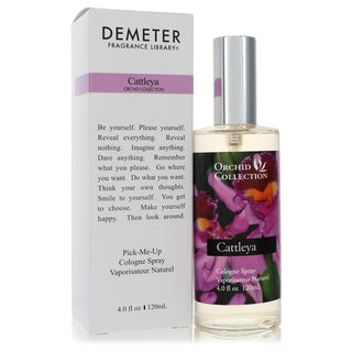 Demeter Cattleya Orchid